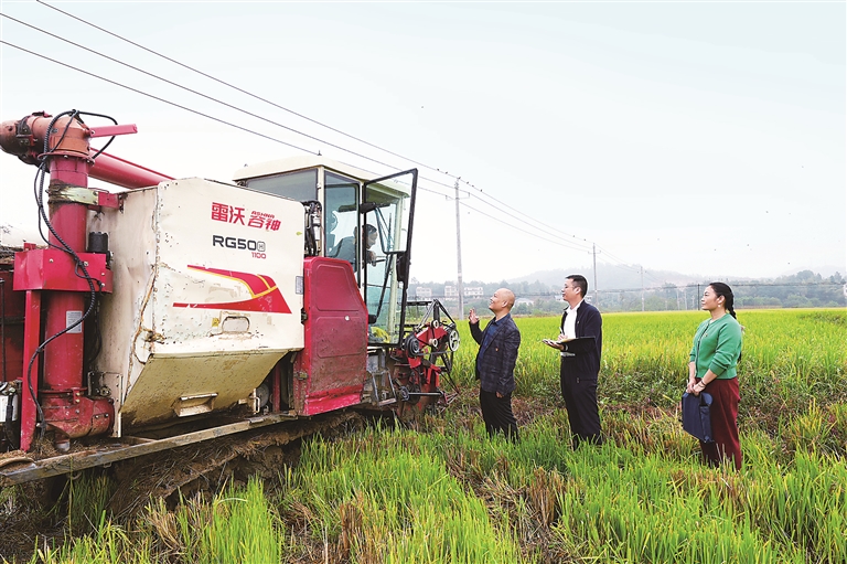 202411211440477825.jpg 202411211440477825.jpg