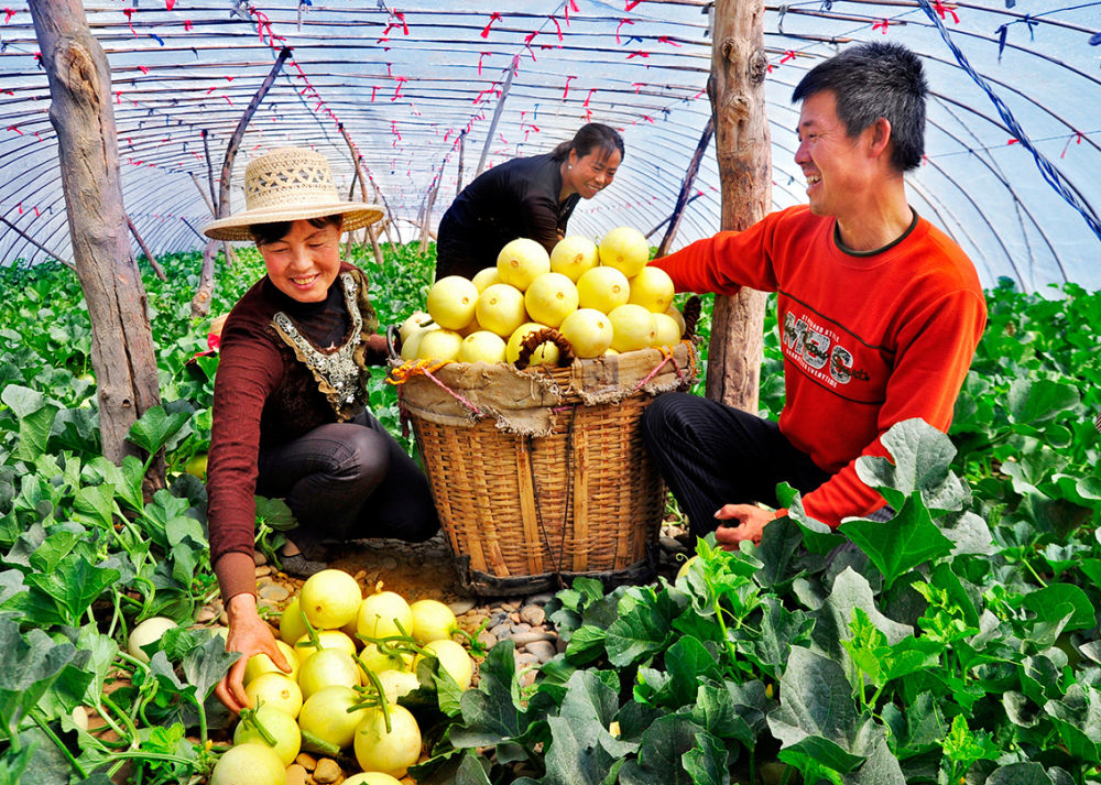 202407041128543242.jpg 202407041128543242.jpg