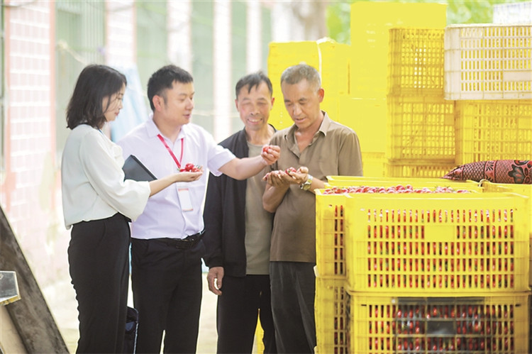 202407091007009316.jpg 202407091007009316.jpg