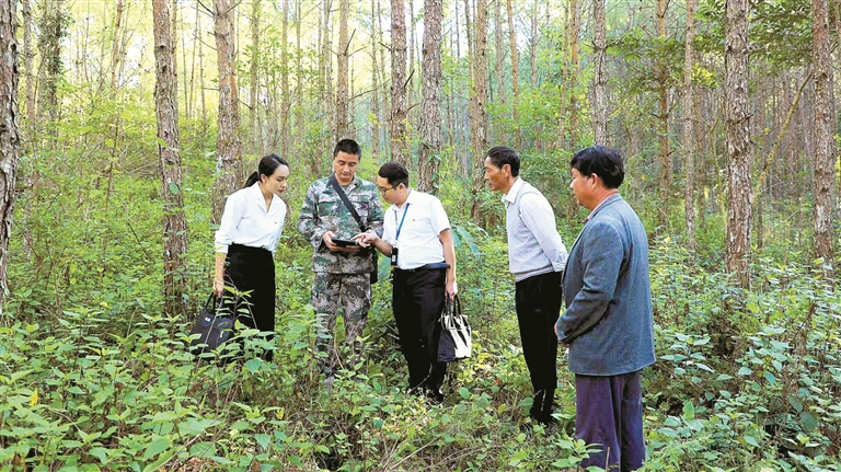 1760656523169090.jpg 11.jpg