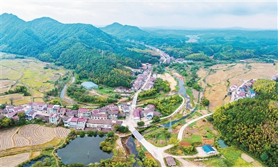 1762905801128422.jpg 3.jpg