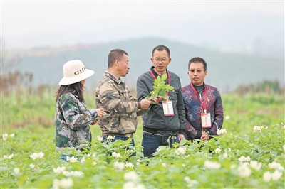 1764287760289556.jpg 2.jpg