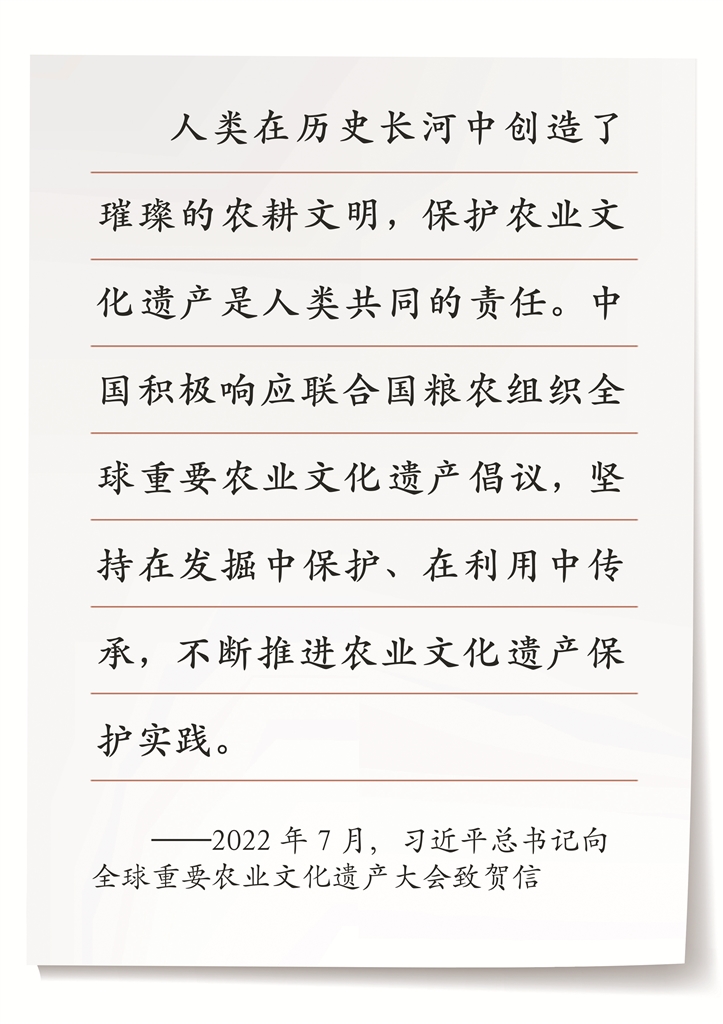 1765323571925548.jpg 222.jpg