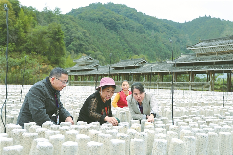 1765842418217266.jpg 深度.jpg