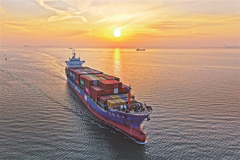 1766012891635579.jpg 4.jpg