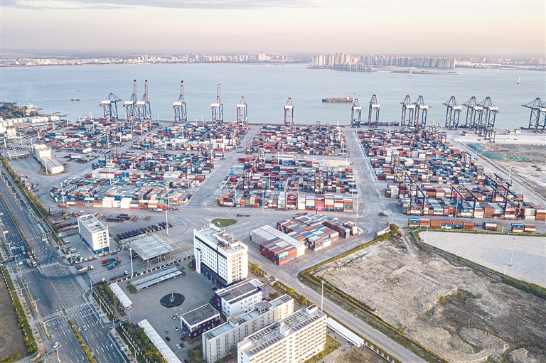 1766012633932351.jpg 3.jpg