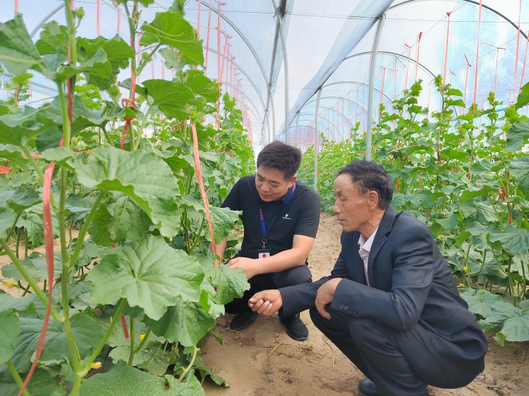 1752139264438946.jpg 图为张掖市高台县合黎镇纪委工作人员结合群众身边不正之风和腐败问题集中整治,深入田间地头了解产业发展农民增收情况。.jpg