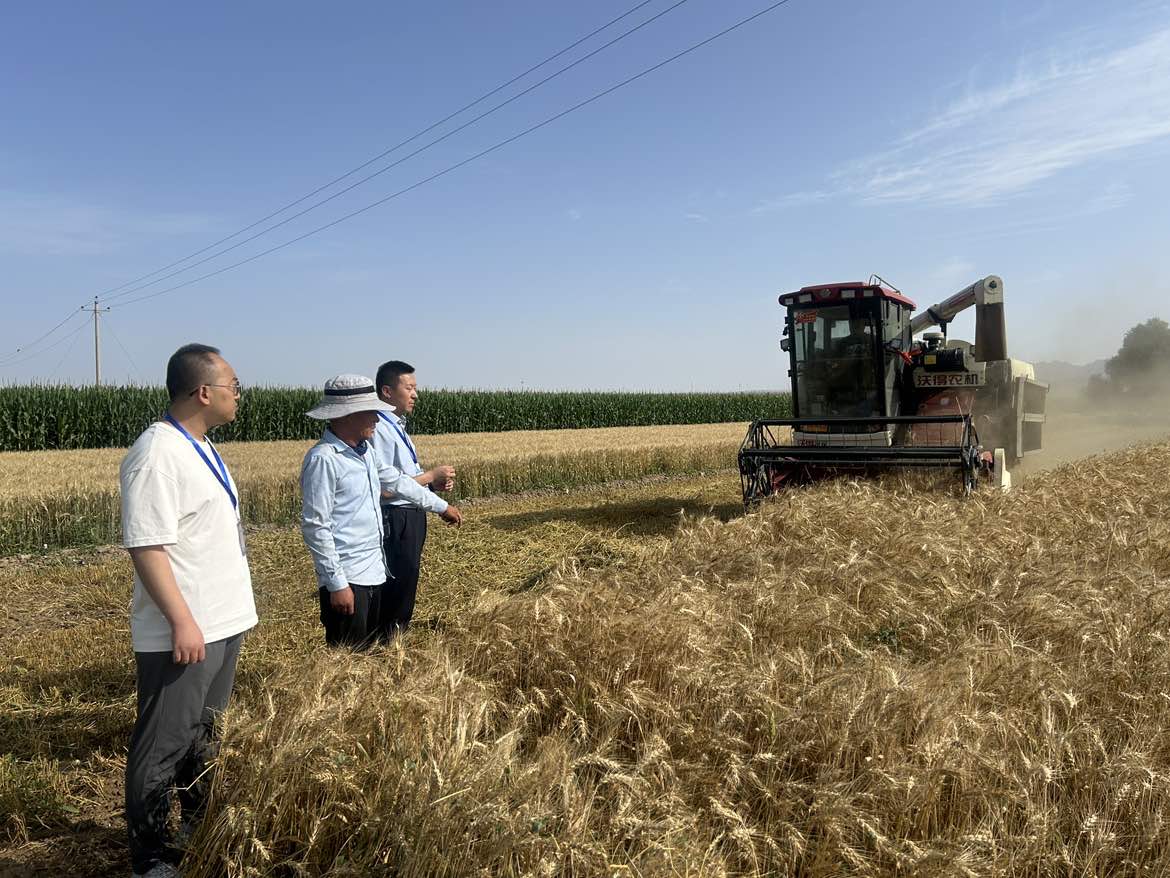 202508010906121735.jpg 202508010906121735.jpg