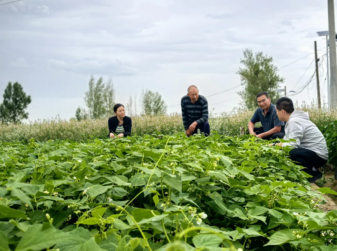 202509120915292768.jpg 202509120915292768.jpg