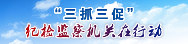 “三抓三促” 纪检监察机关在行动