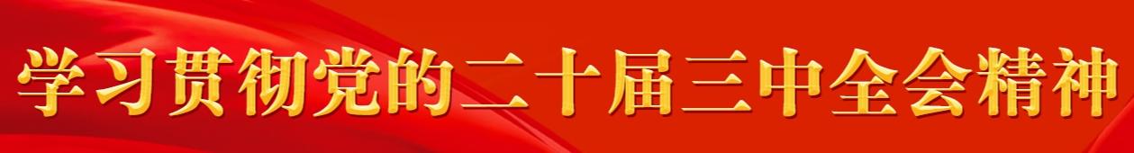 学习贯彻党的二十届三中全会精神