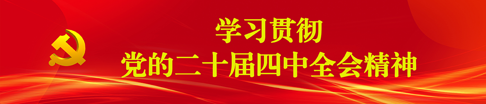 学习贯彻党的二十届四中全会精神