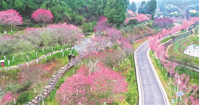 202503191037560718.jpg 202503191037560718.jpg